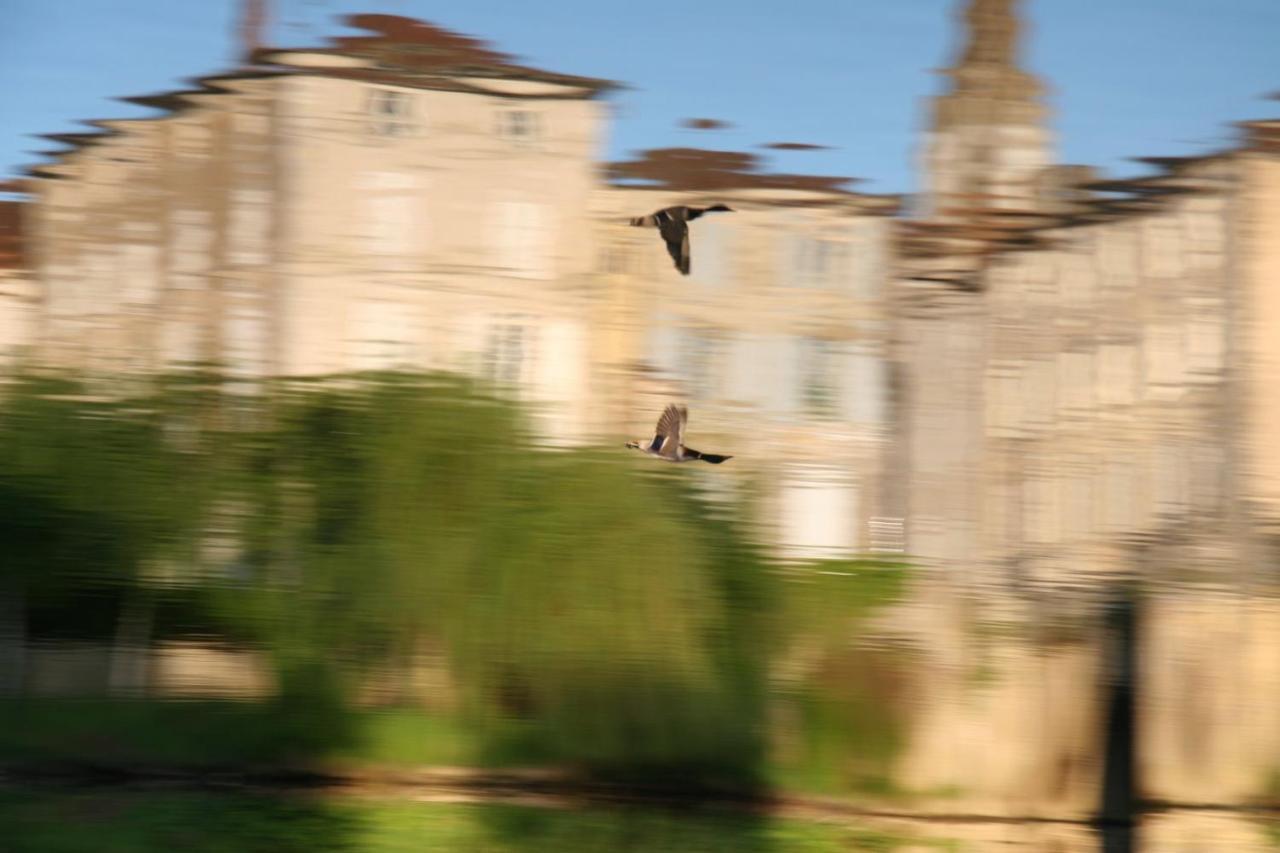 Pont Vieux Chambres D'Hotes コンフォラン エクステリア 写真